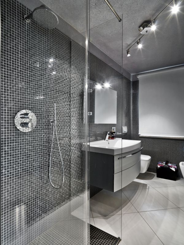 Modern Shower Niche